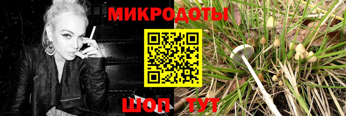 Галлюциногенные грибы GOLDEN TEACHER Михайловка